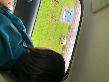 マザー牧場に投稿された画像（2020/5/27）