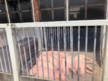 マザー牧場に投稿された画像（2020/5/27）