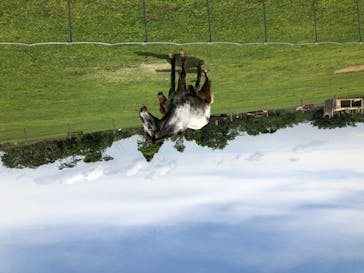 マザー牧場に投稿された画像（2020/5/27）