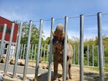 しろとり動物園に投稿された画像（2020/5/27）