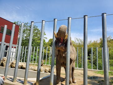 しろとり動物園に投稿された画像（2020/5/27）