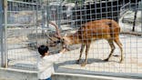 しろとり動物園に投稿された画像（2020/5/27）