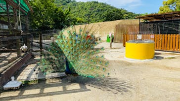 しろとり動物園に投稿された画像（2020/5/27）