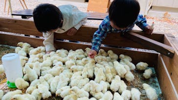 しろとり動物園に投稿された画像（2020/5/27）