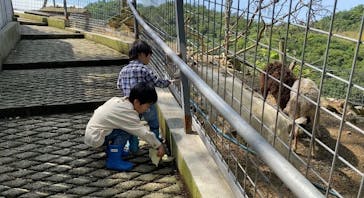 しろとり動物園に投稿された画像（2020/5/27）