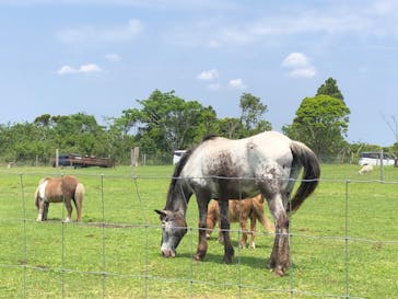 マザー牧場に投稿された画像（2020/5/28）