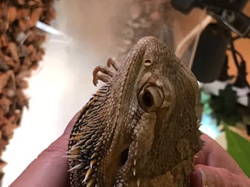 Moff animal cafe MARKIS 福岡ももち店に投稿された画像（2020/5/28）