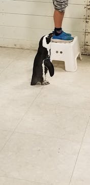 Moff animal world BIGHOPガーデンモール印西店に投稿された画像（2020/5/29）