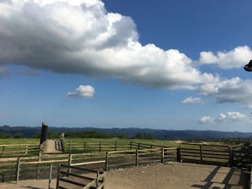 マザー牧場に投稿された画像（2020/5/29）