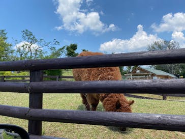 マザー牧場に投稿された画像（2020/5/29）