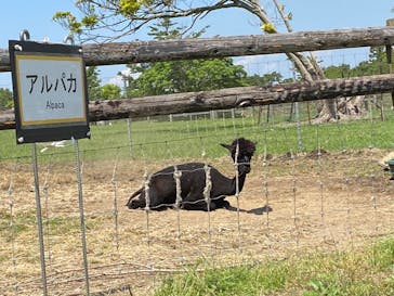 マザー牧場に投稿された画像（2020/5/29）