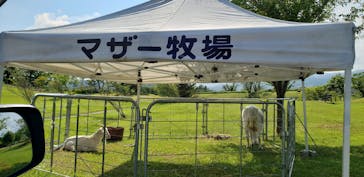 マザー牧場に投稿された画像（2020/5/30）