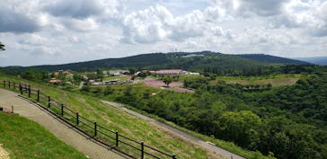 マザー牧場に投稿された画像（2020/5/30）