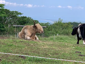 マザー牧場に投稿された画像（2020/5/30）