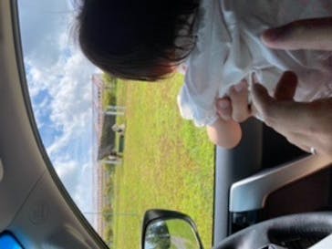 マザー牧場に投稿された画像（2020/5/30）