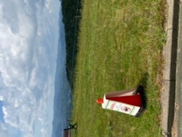 マザー牧場に投稿された画像（2020/5/30）