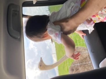 マザー牧場に投稿された画像（2020/5/30）