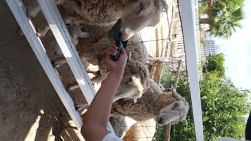 神戸どうぶつ王国に投稿された画像（2020/5/30）