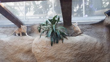 神戸どうぶつ王国に投稿された画像（2020/5/30）