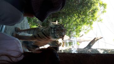 神戸どうぶつ王国に投稿された画像（2020/5/30）