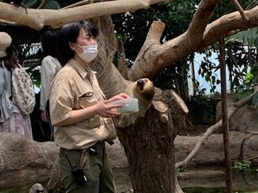 神戸どうぶつ王国に投稿された画像（2020/5/30）