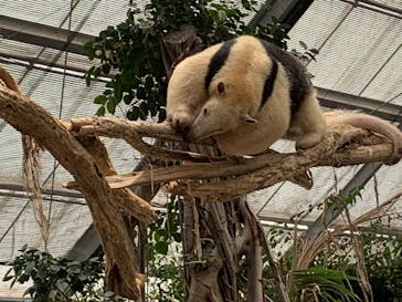 神戸どうぶつ王国に投稿された画像（2020/5/30）