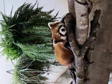 那須どうぶつ王国に投稿された画像（2020/5/30）