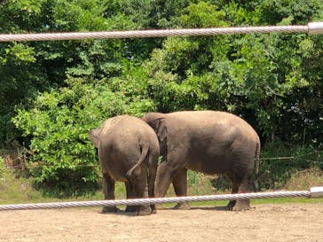 群馬サファリパークに投稿された画像（2020/5/30）