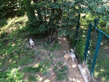 群馬サファリパークに投稿された画像（2020/5/30）