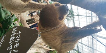 神戸どうぶつ王国に投稿された画像（2020/5/31）