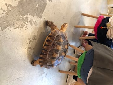 Moff animal cafe MARKIS 福岡ももち店に投稿された画像（2020/5/31）