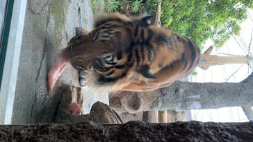 神戸どうぶつ王国に投稿された画像（2020/5/31）