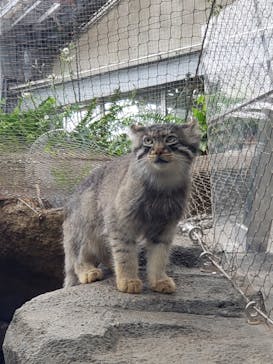 神戸どうぶつ王国に投稿された画像（2020/5/31）