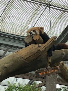 神戸どうぶつ王国に投稿された画像（2020/5/31）