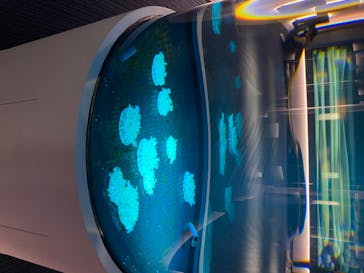 四国水族館に投稿された画像（2020/6/1）