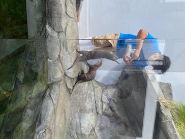 四国水族館に投稿された画像（2020/6/1）