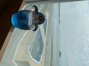 四国水族館に投稿された画像（2020/6/1）