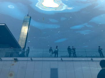 四国水族館に投稿された画像（2020/6/1）