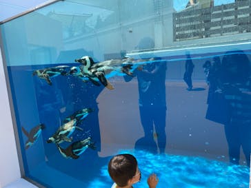 四国水族館に投稿された画像（2020/6/2）