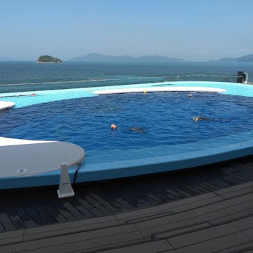 四国水族館に投稿された画像（2020/6/2）