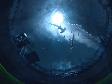 四国水族館に投稿された画像（2020/6/2）