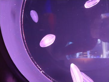 四国水族館に投稿された画像（2020/6/2）