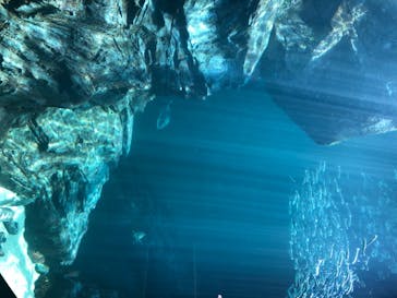 四国水族館に投稿された画像（2020/6/2）