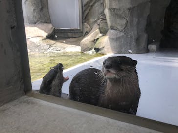 四国水族館に投稿された画像（2020/6/2）