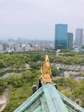 大阪城天守閣に投稿された画像（2020/6/3）