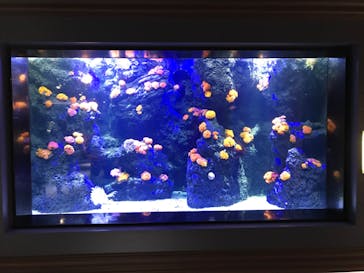 四国水族館に投稿された画像（2020/6/3）