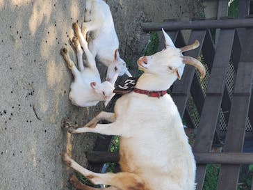 美らヤシパークオキナワ・東南植物楽園に投稿された画像（2020/6/3）