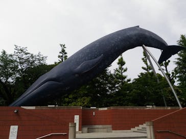 国立科学博物館に投稿された画像（2020/6/3）