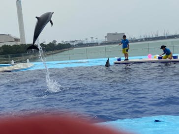 四国水族館に投稿された画像（2020/6/5）