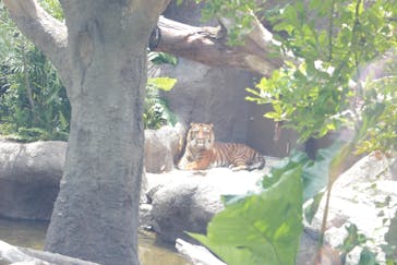 神戸どうぶつ王国に投稿された画像（2020/6/5）